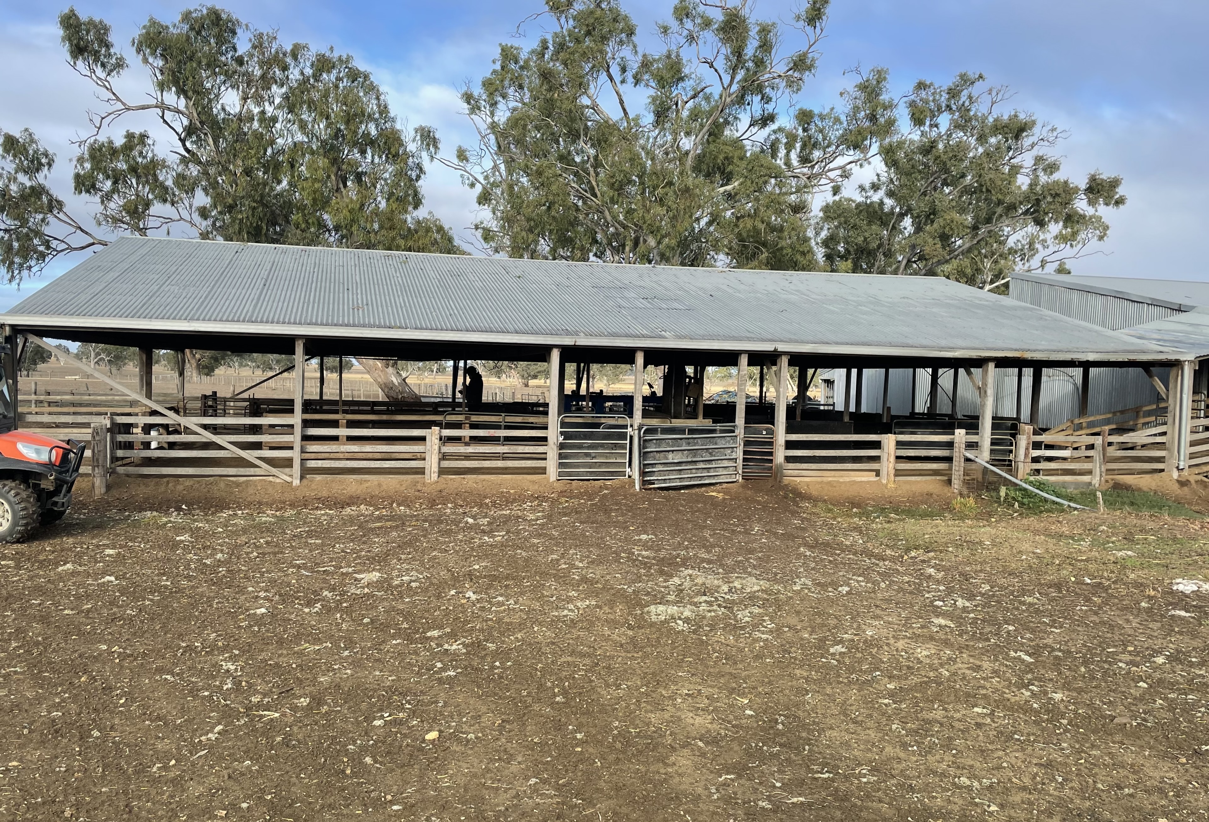 shed 2
